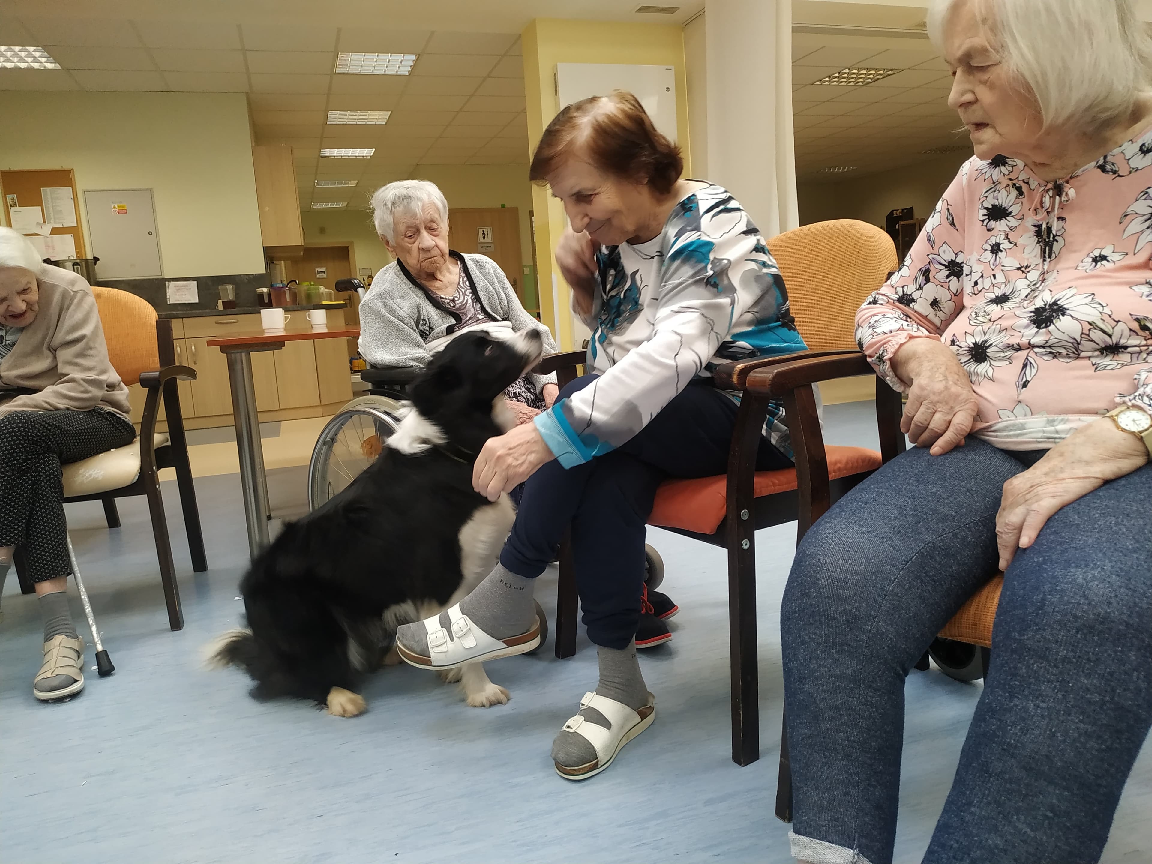 Zvířecí návštěvy 2024 0