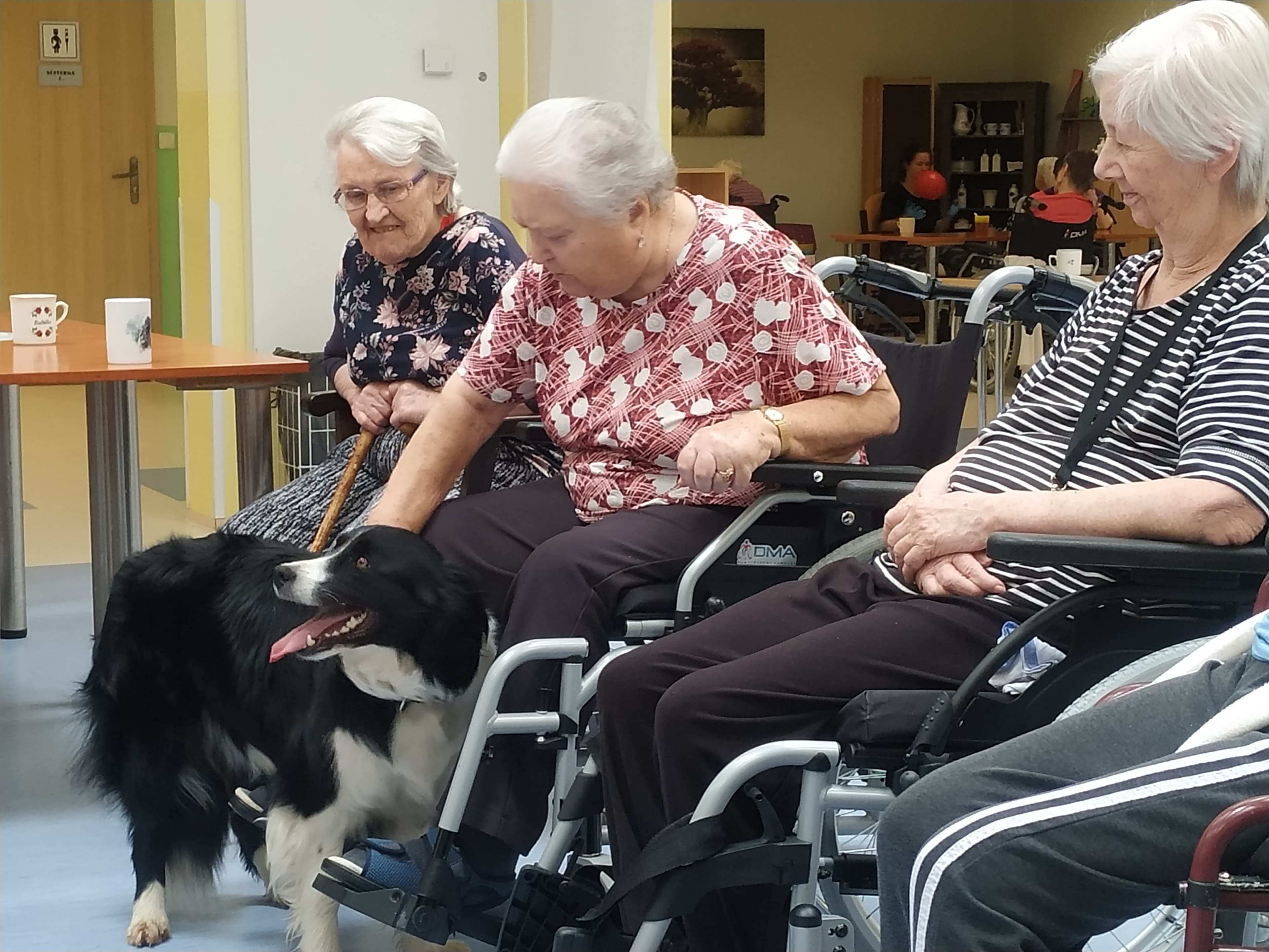 Zvířecí návštěvy 2024 3