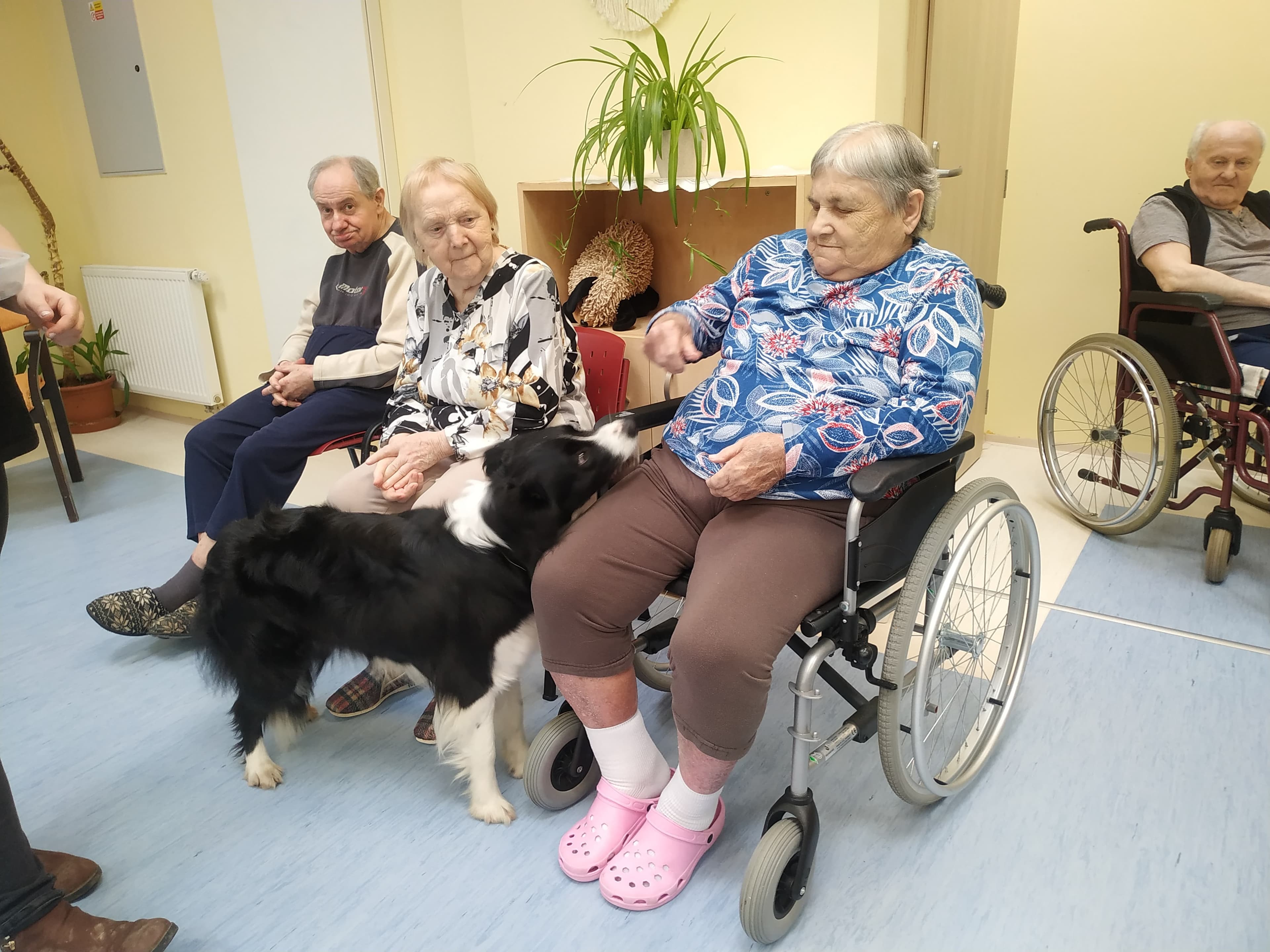 Zvířecí návštěvy 2024 4