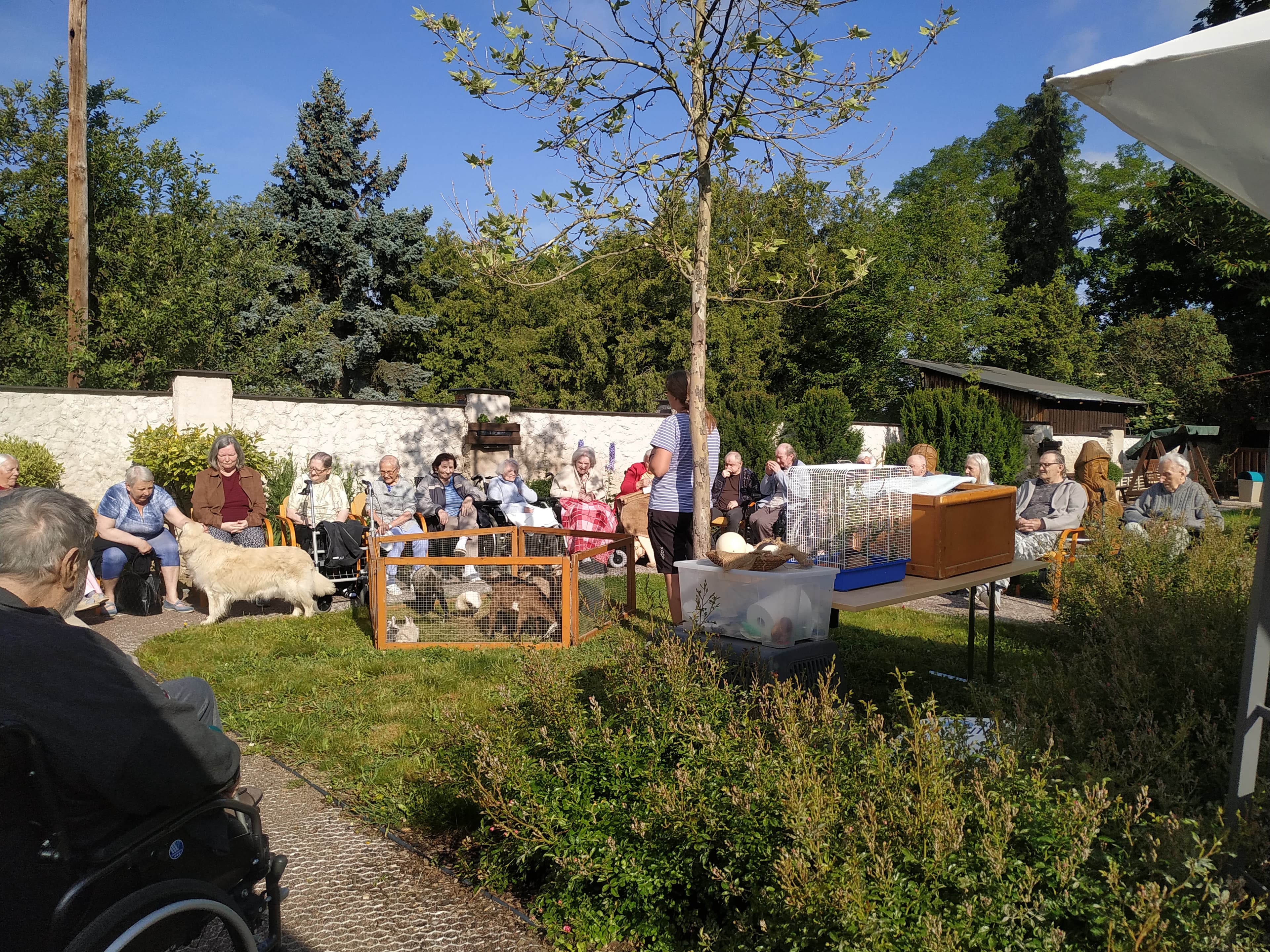 Zvířecí návštěvy 2024 5