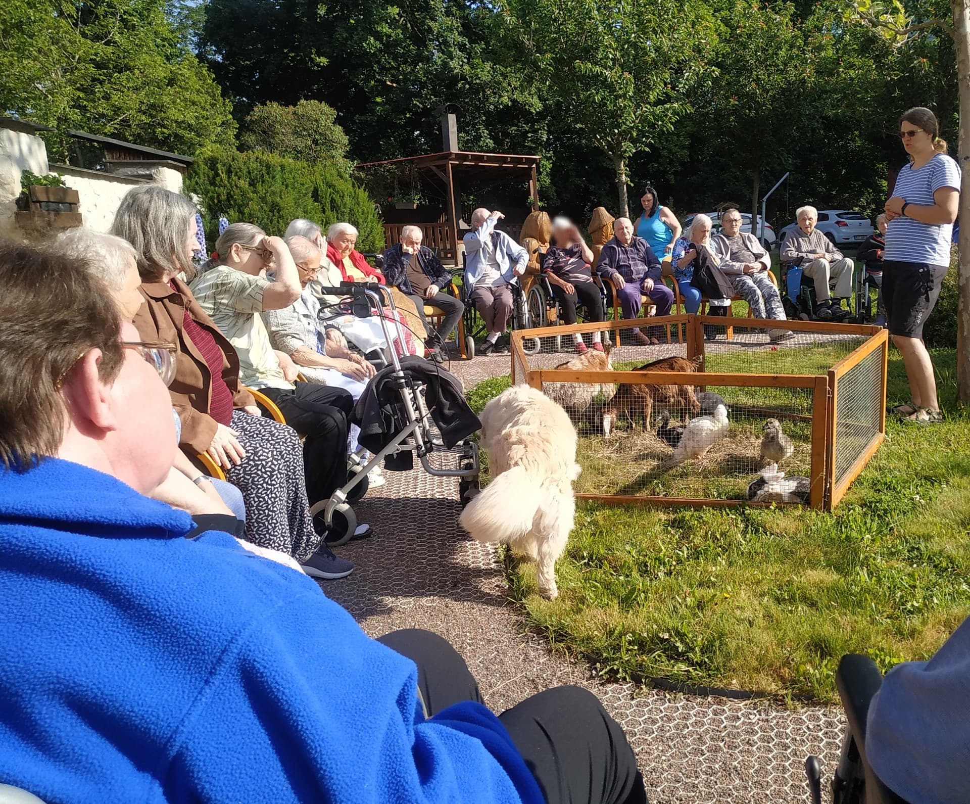 Zvířecí návštěvy 2024