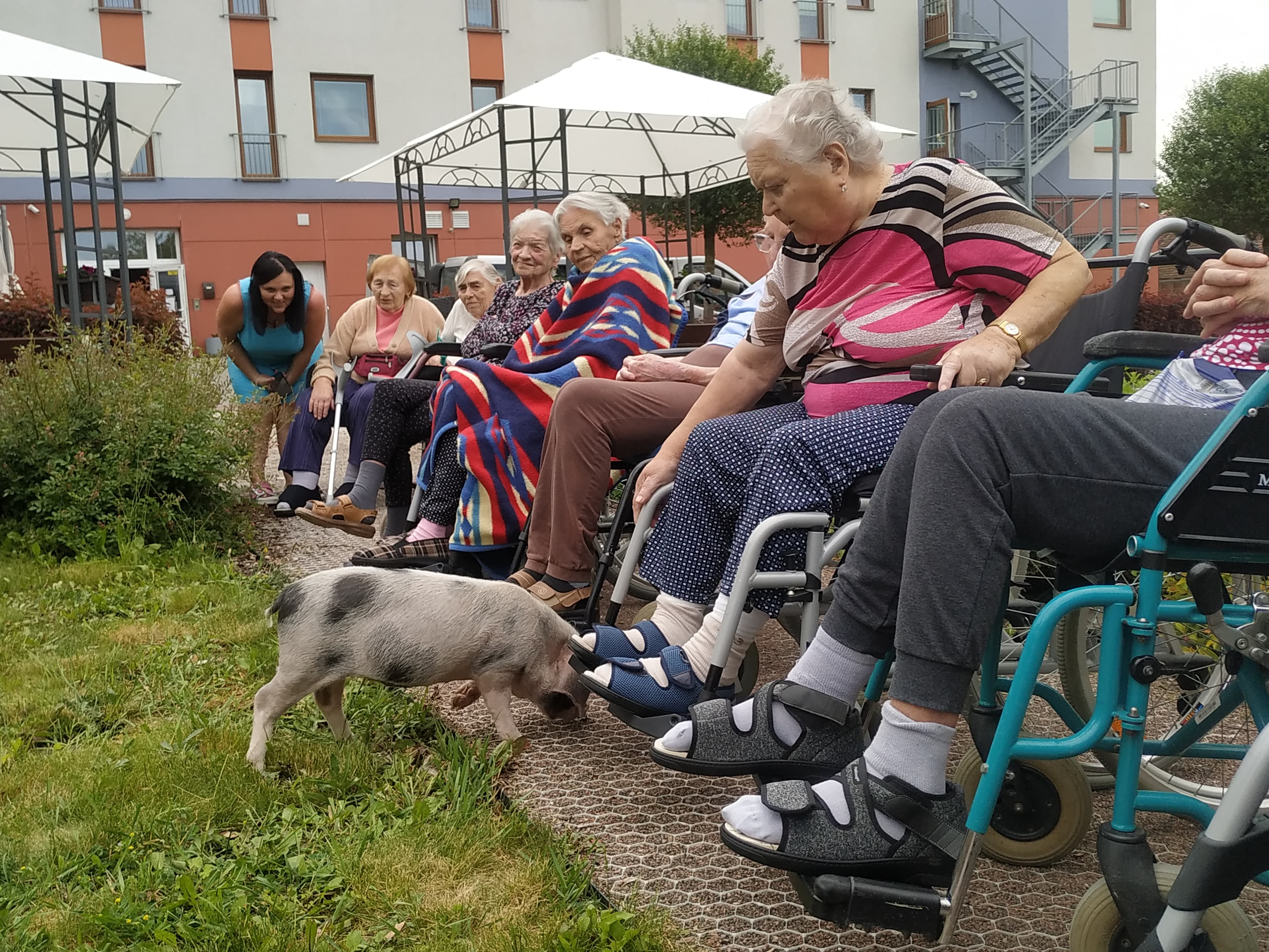 Zvířecí návštěvy 2024 7