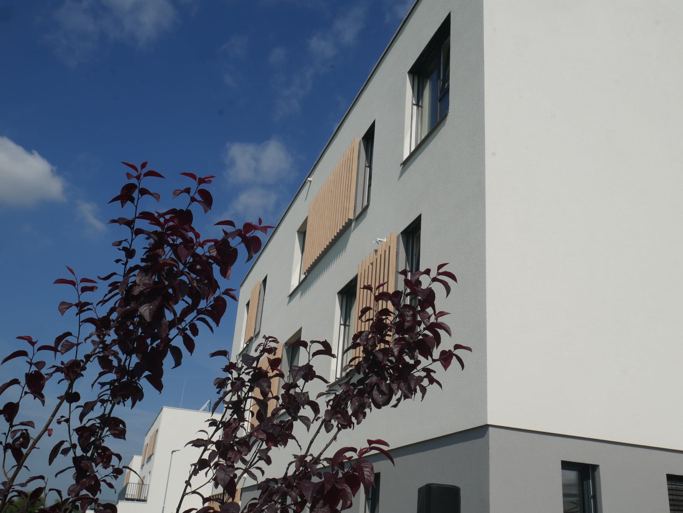 Gallery Domov Pardubice 6