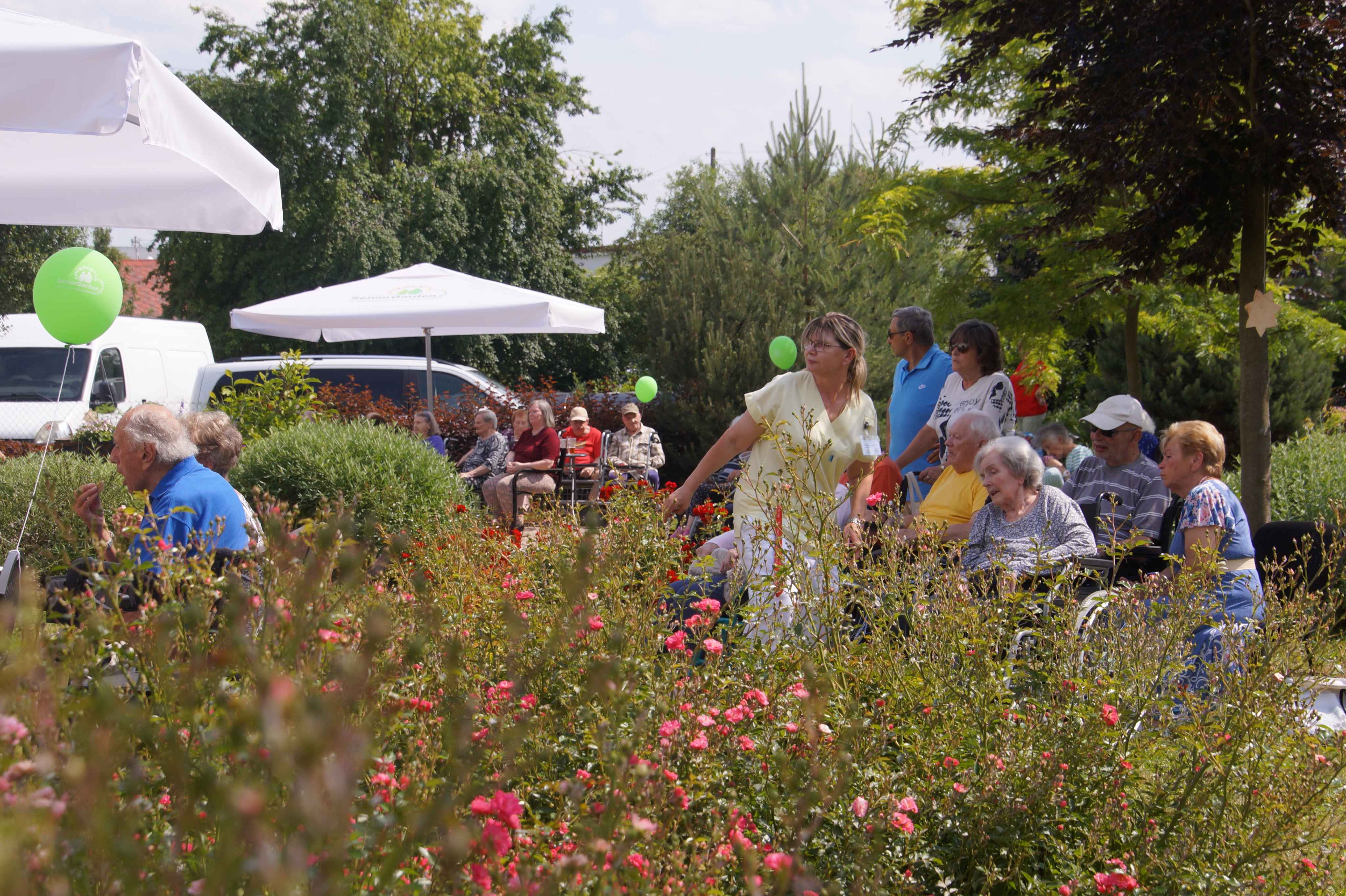 Oslava renovace Domova Chrudim ? 25