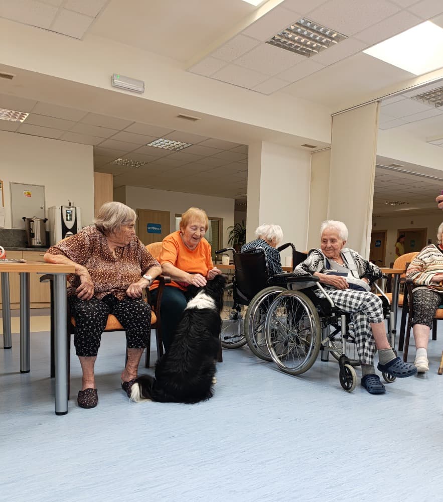 Dixie jako součást cílené aktivizace v péči o seniory? 0