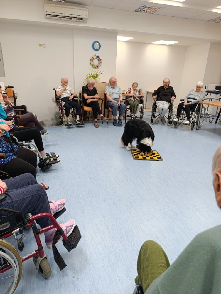 Dixie jako součást cílené aktivizace v péči o seniory? 1