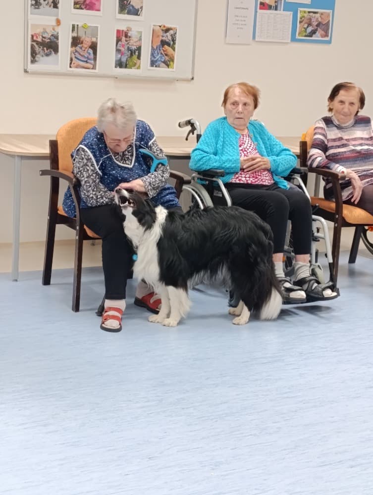 Dixie jako součást cílené aktivizace v péči o seniory? 2