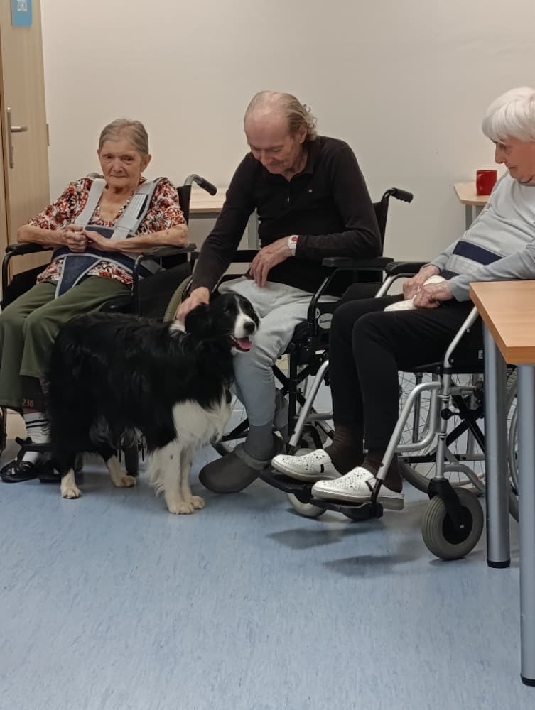 Dixie jako součást cílené aktivizace v péči o seniory? 4