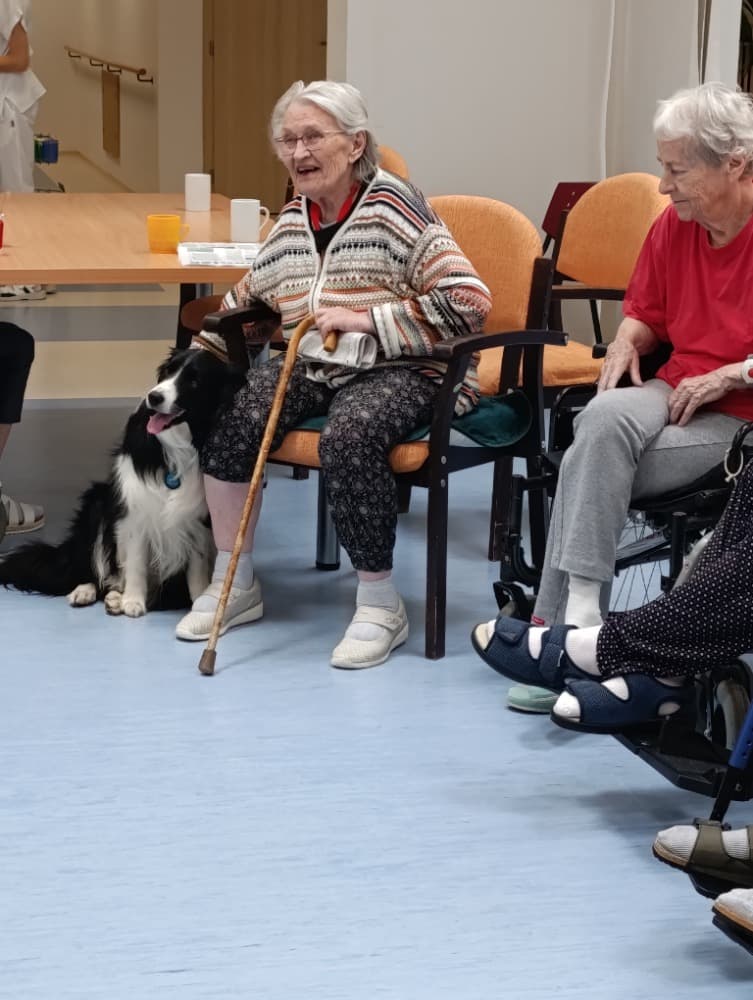 Dixie jako součást cílené aktivizace v péči o seniory? 5