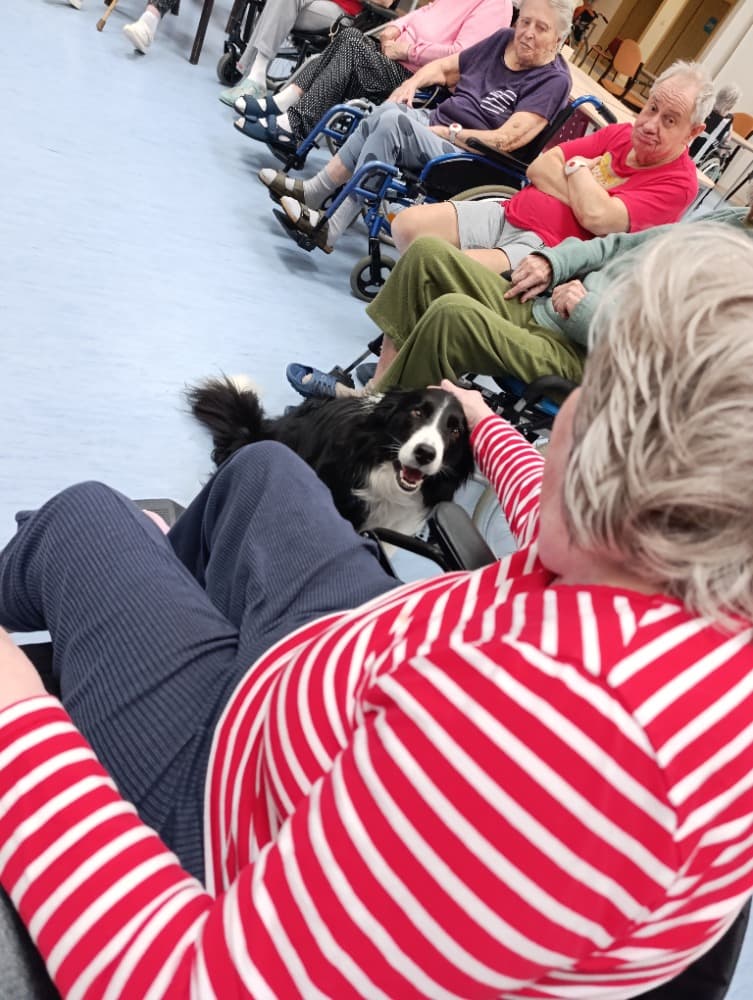 Dixie jako součást cílené aktivizace v péči o seniory? 6