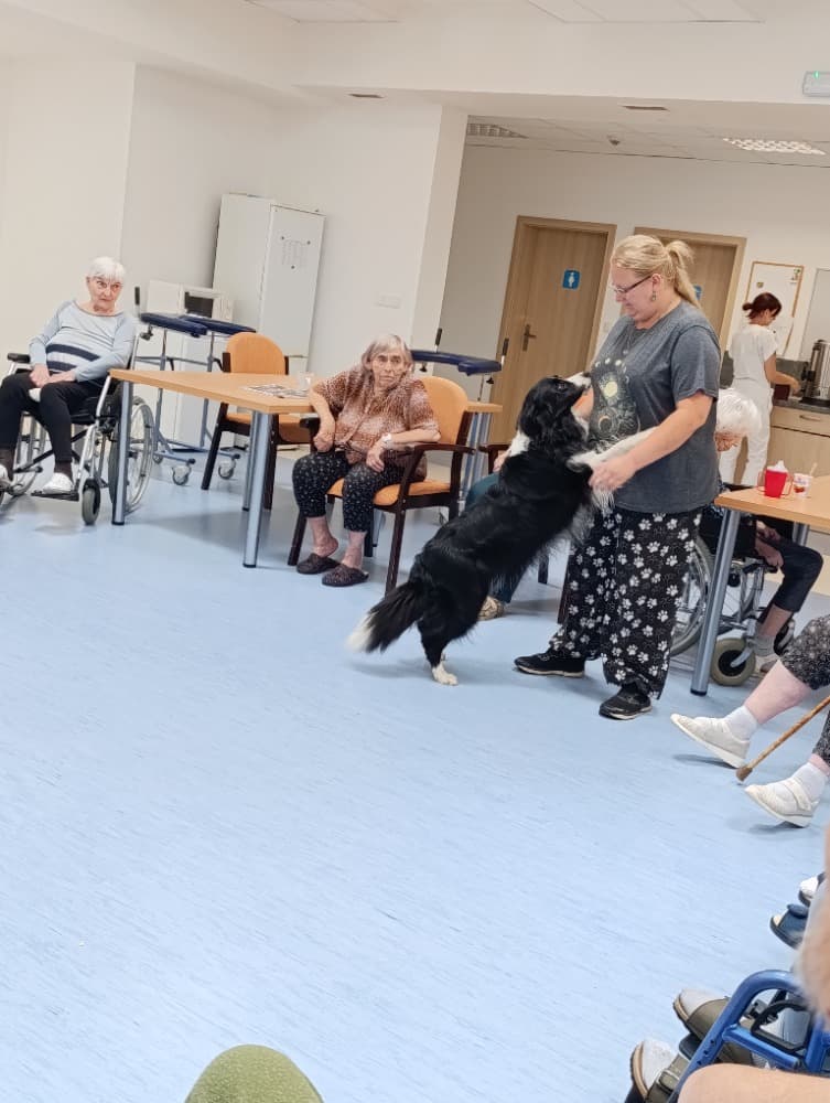 Dixie jako součást cílené aktivizace v péči o seniory? 7