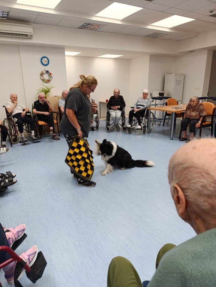 Dixie jako součást cílené aktivizace v péči o seniory? 9