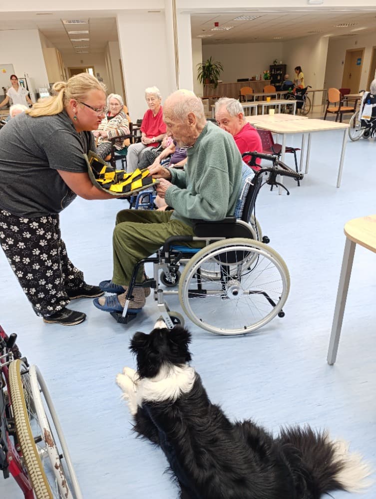 Dixie jako součást cílené aktivizace v péči o seniory? 10