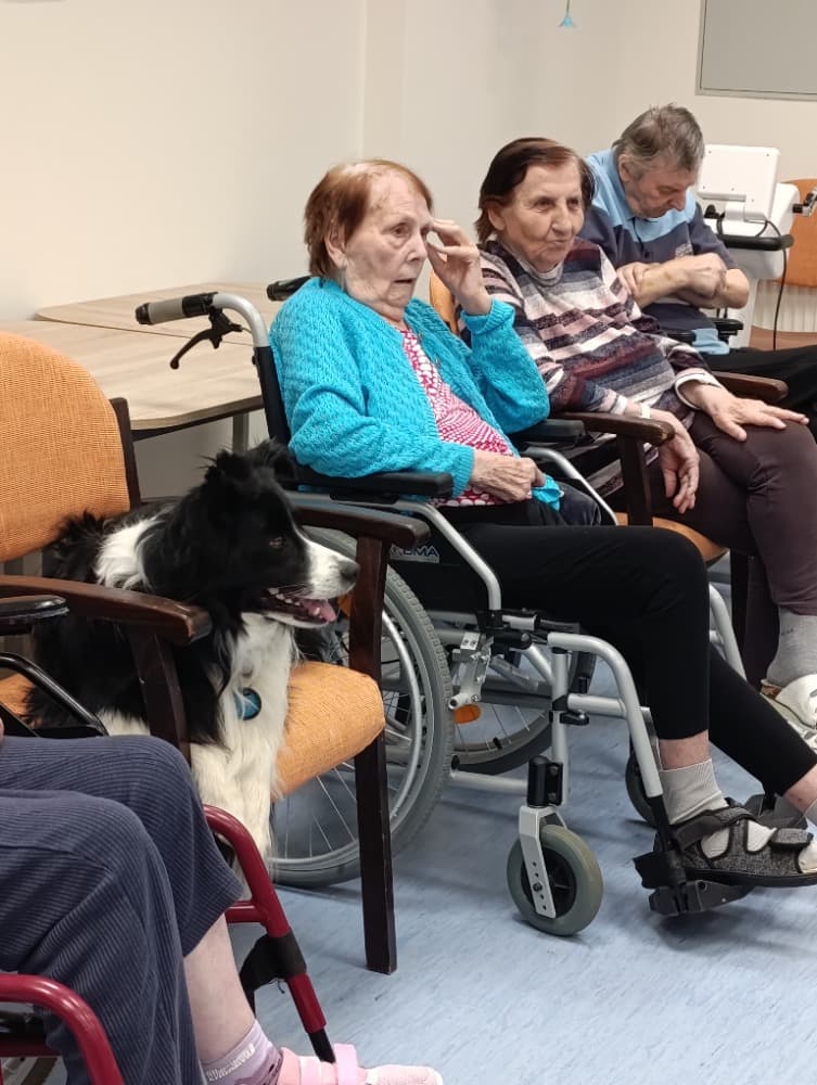 Dixie jako součást cílené aktivizace v péči o seniory? 11