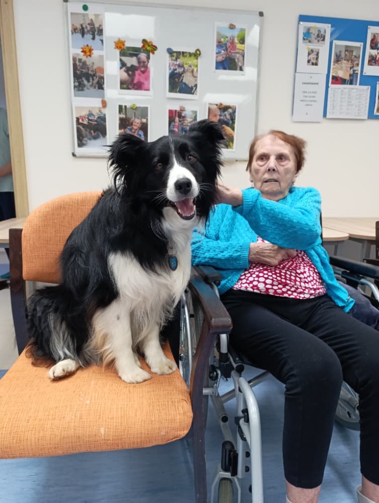 Dixie jako součást cílené aktivizace v péči o seniory? 12