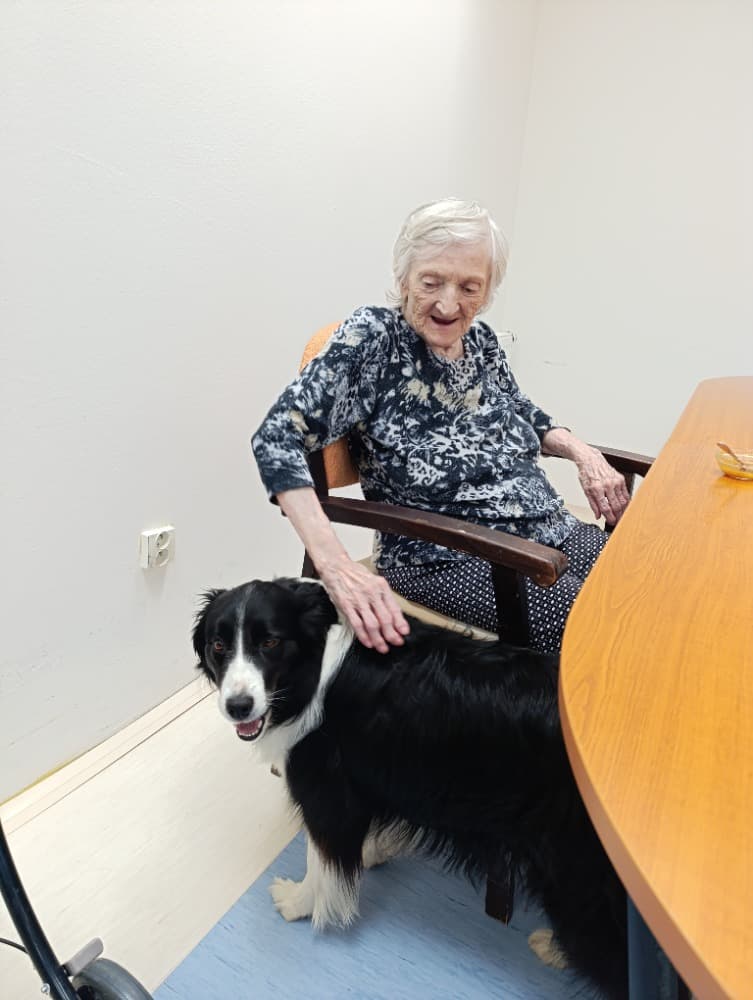 Dixie jako součást cílené aktivizace v péči o seniory? 13