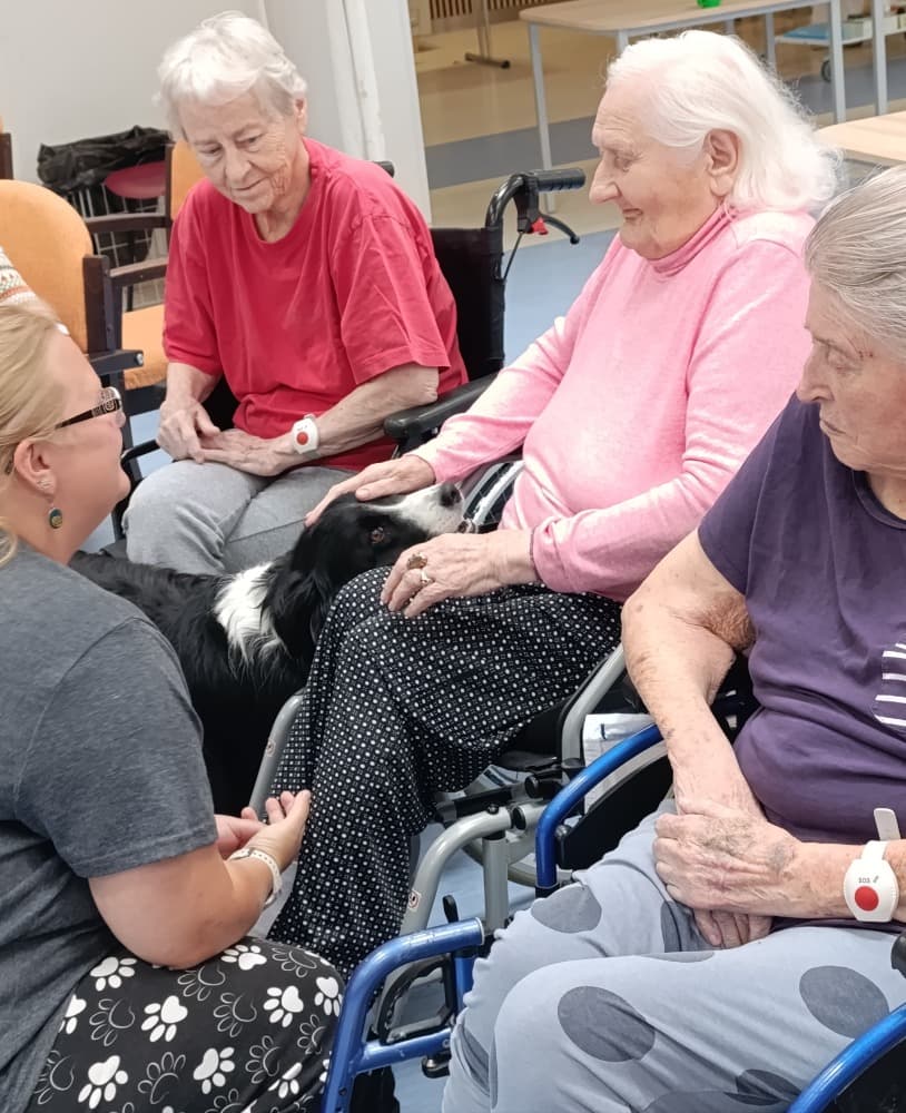 Dixie jako součást cílené aktivizace v péči o seniory? 15