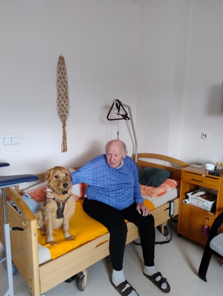 Canisterapie s Vendou? 2