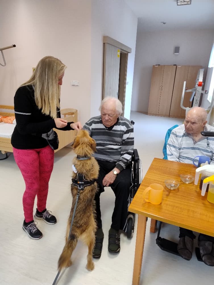 Canisterapie s Vendou? 3