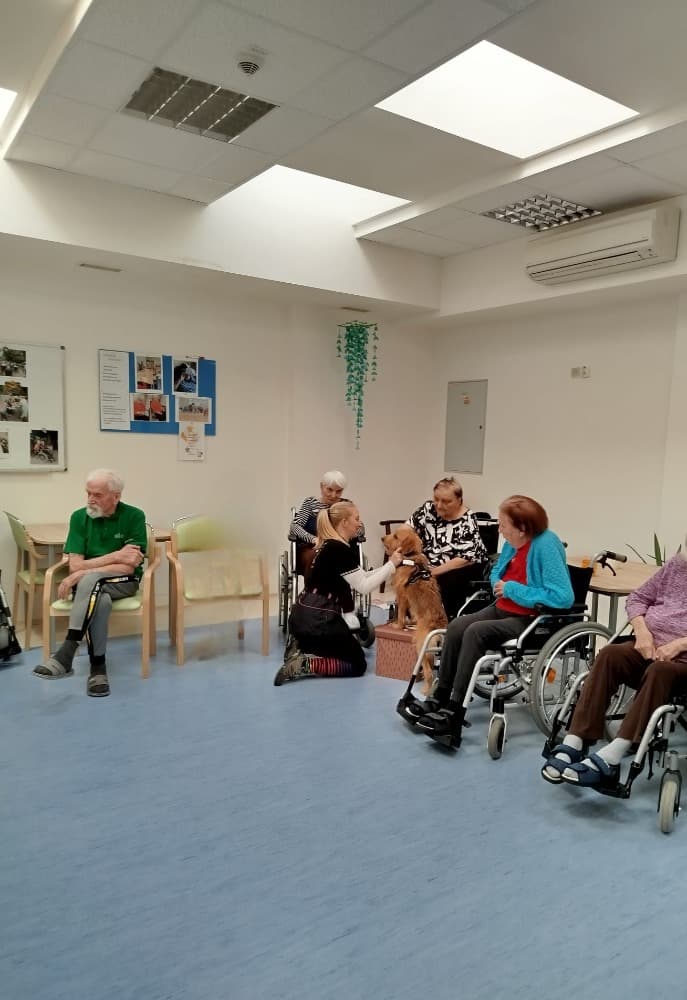 Canisterapie s Vendou? 11