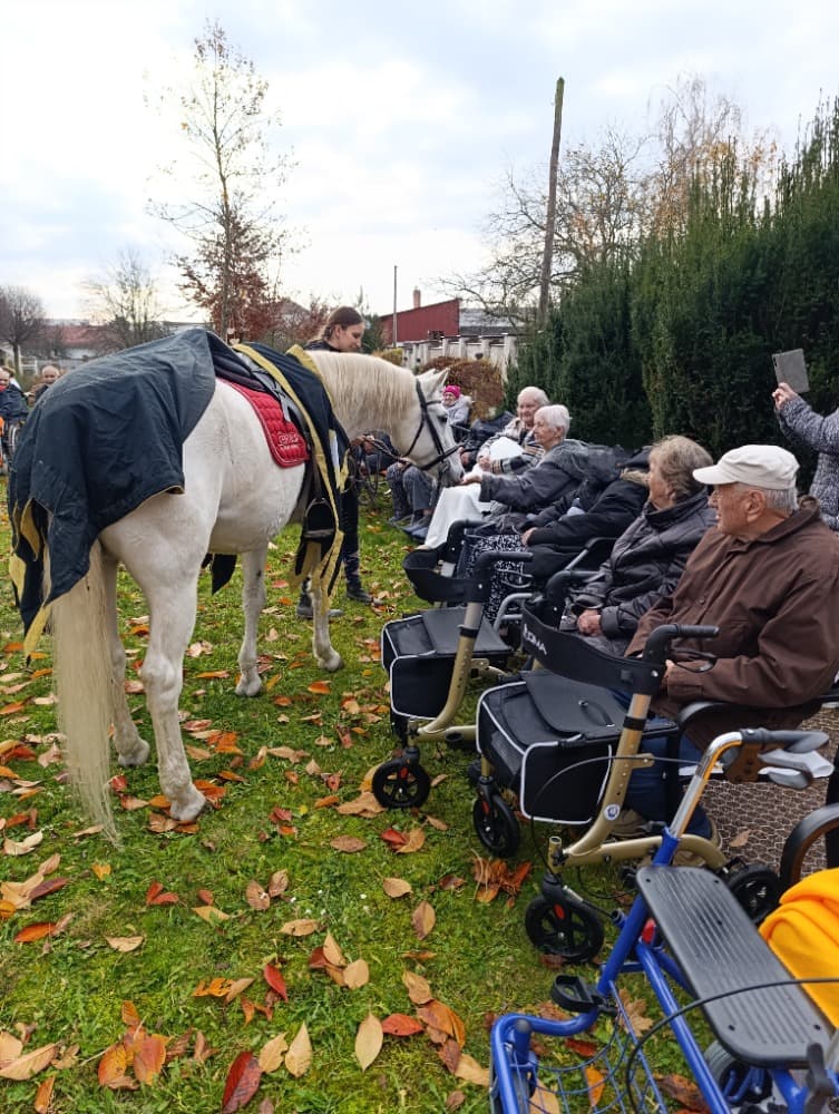 Svatý Martin🐴️ 9