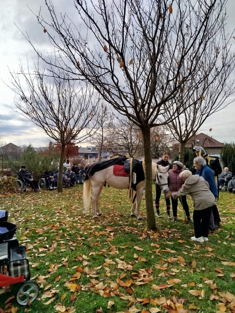 Svatý Martin🐴️ 15
