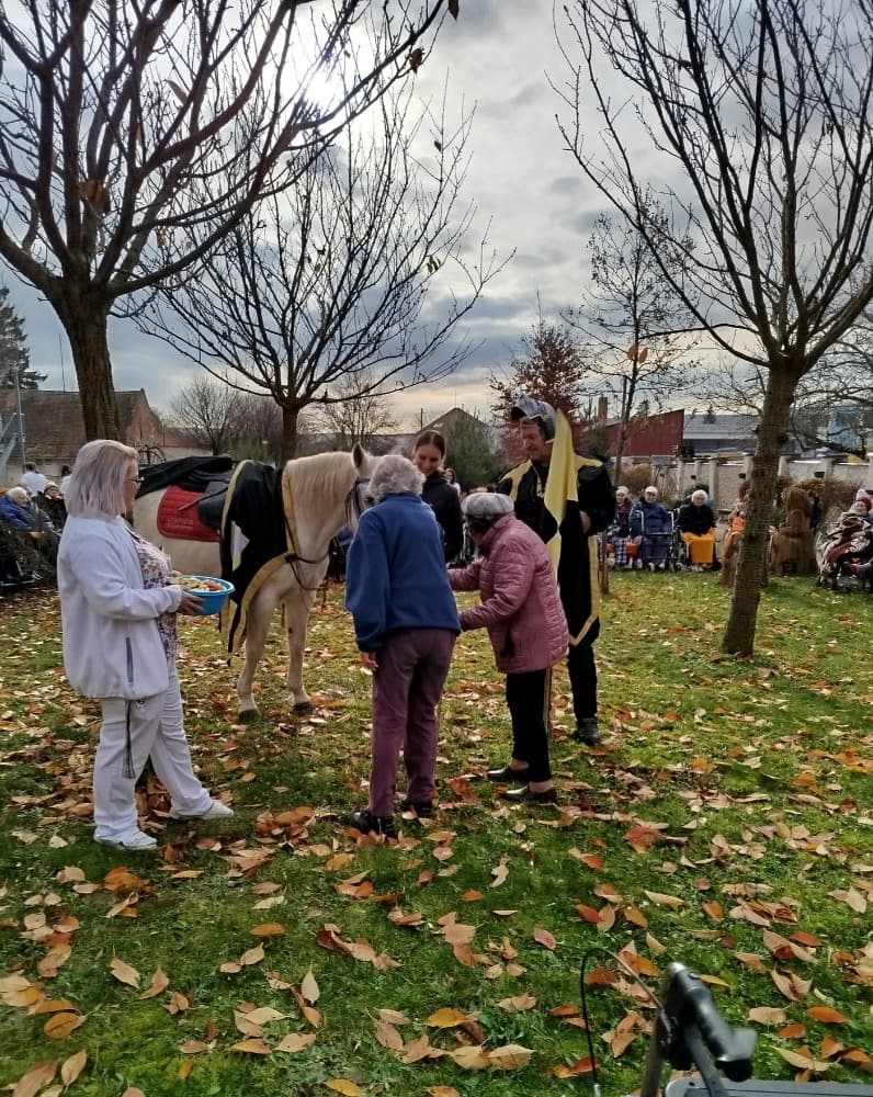 Svatý Martin🐴️ 16