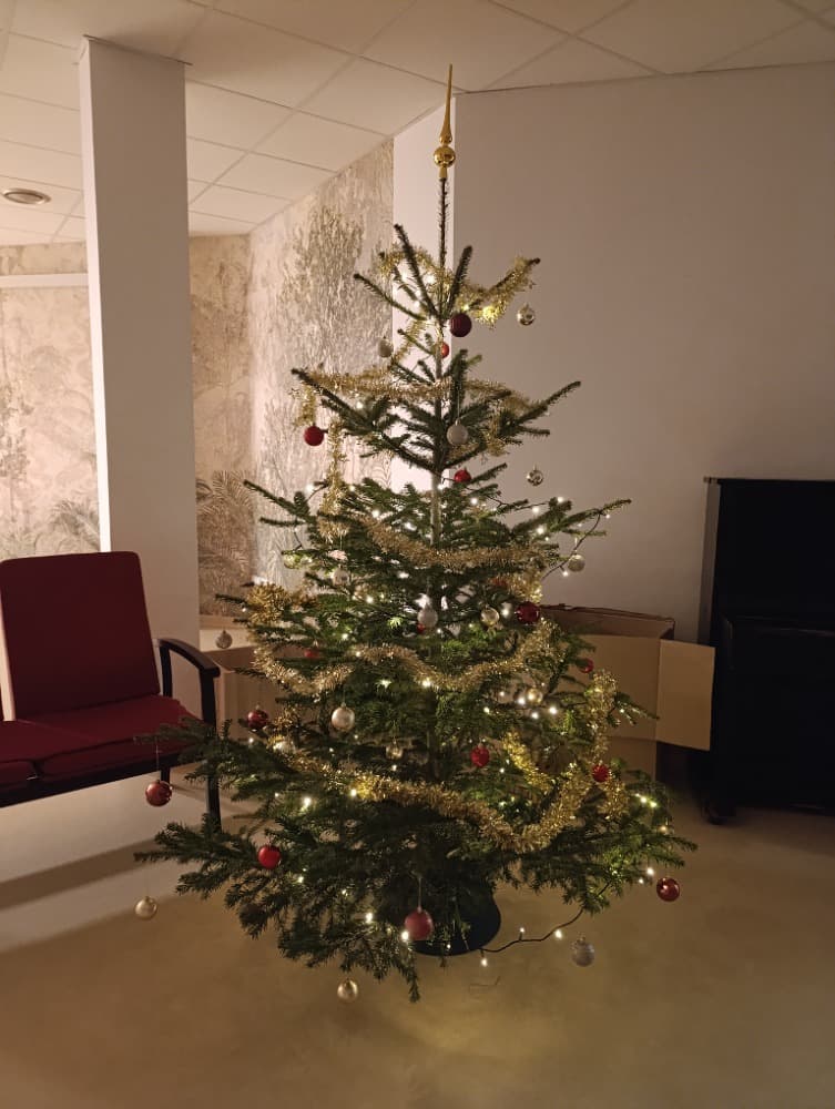 Zdobení vánočních stromků ?