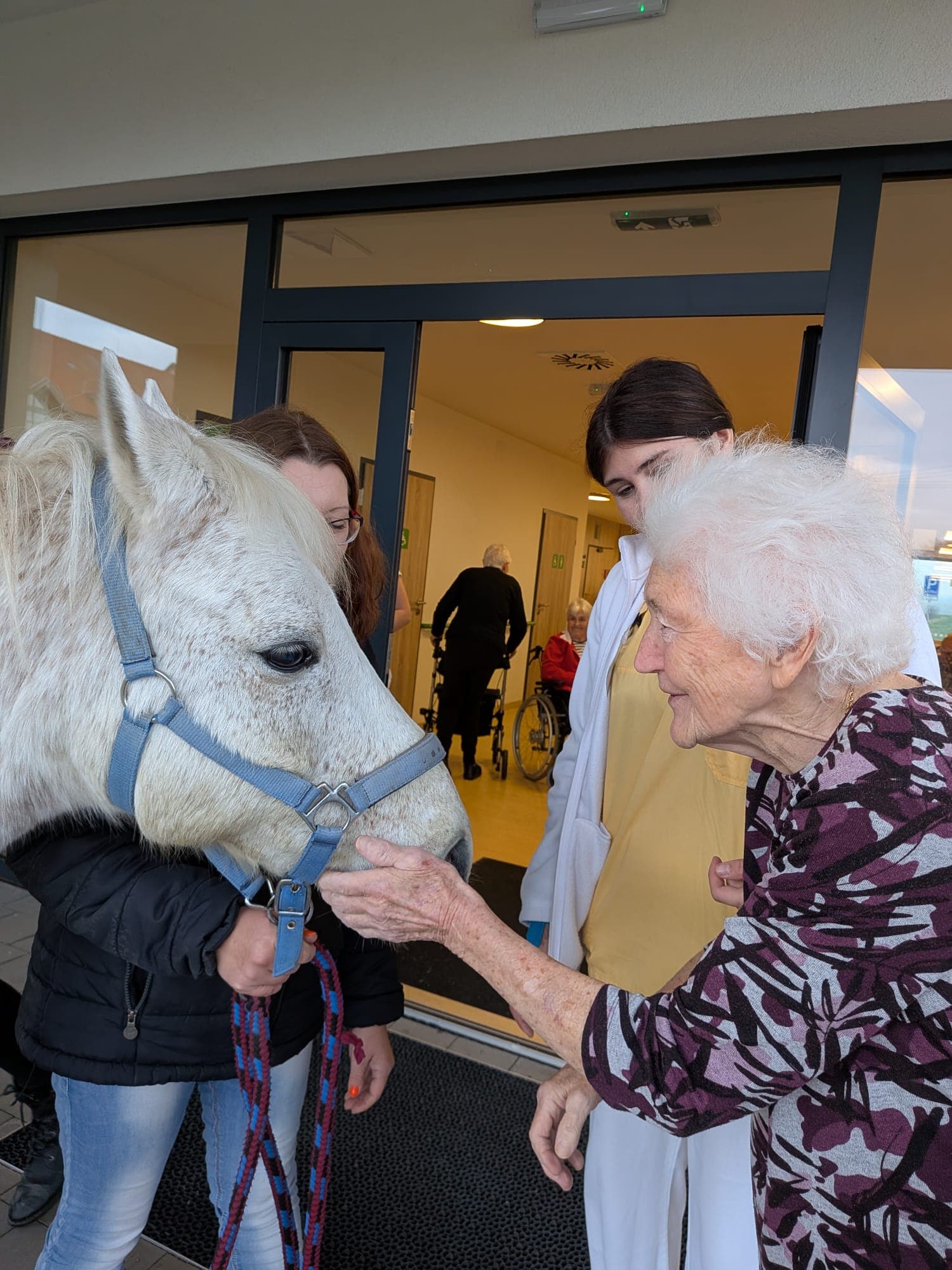 Návštěva bílého koně 0