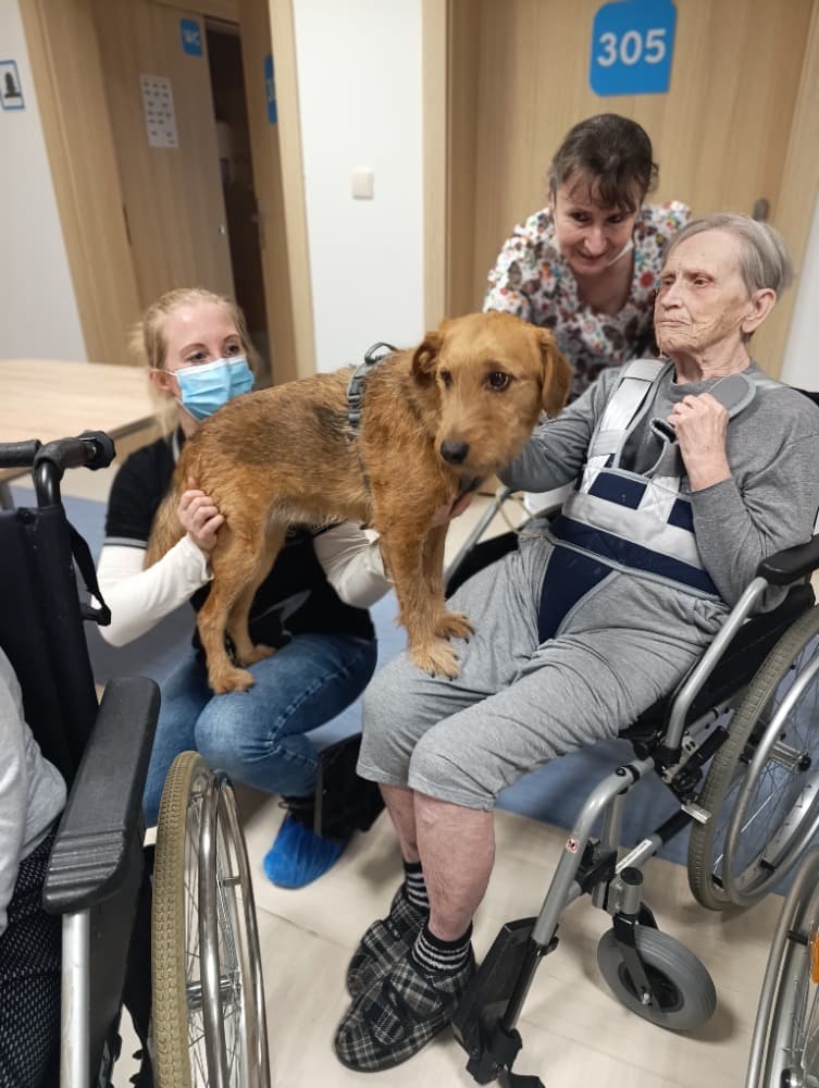 ?Návštěva Vendy a Charryho ? 5