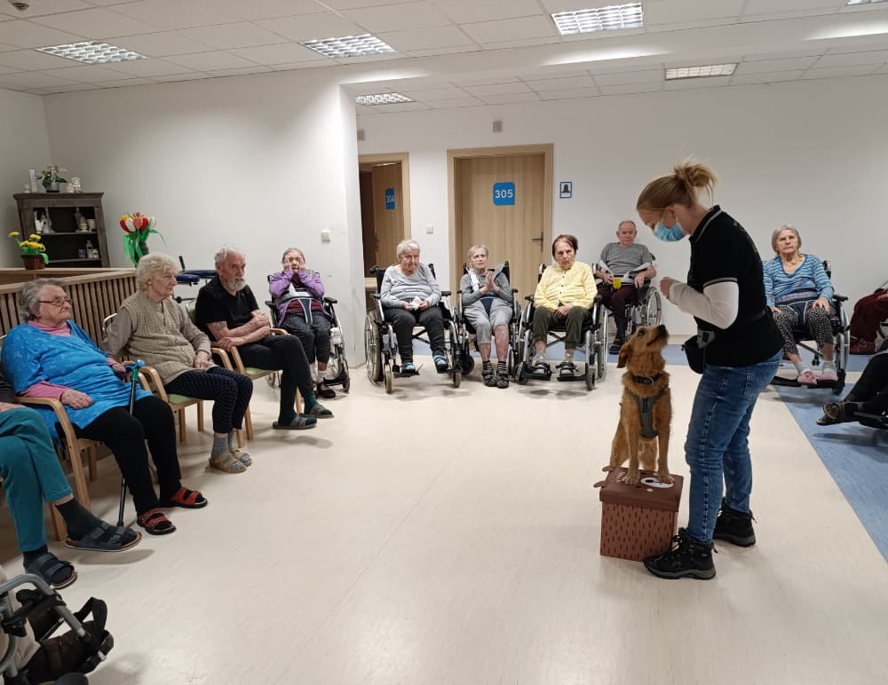 ?Návštěva Vendy a Charryho ? 10