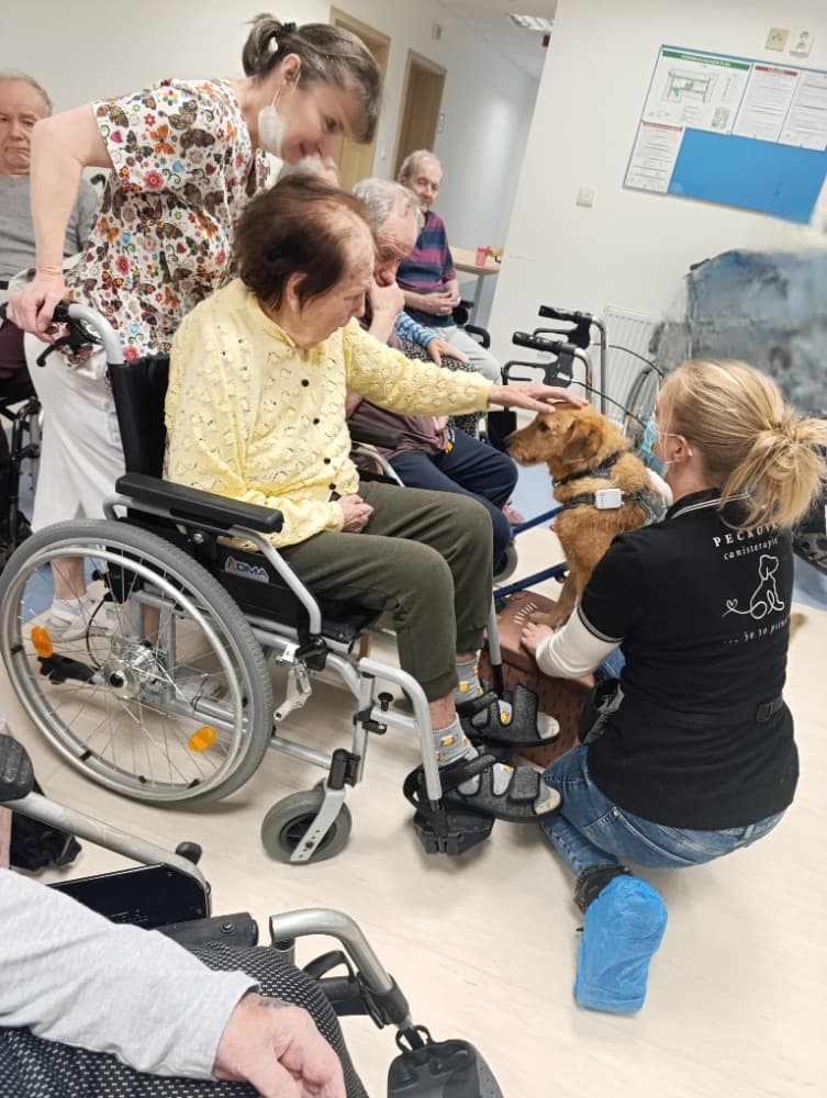 ?Návštěva Vendy a Charryho ? 12