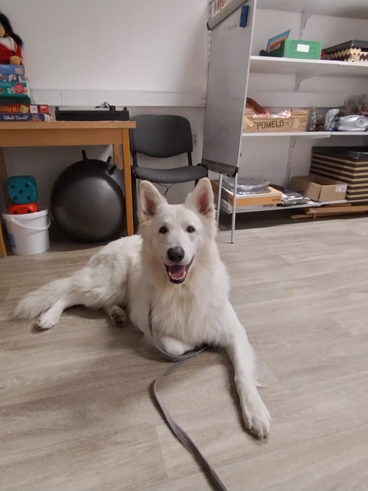 ?Návštěva Vendy a Charryho ? 25