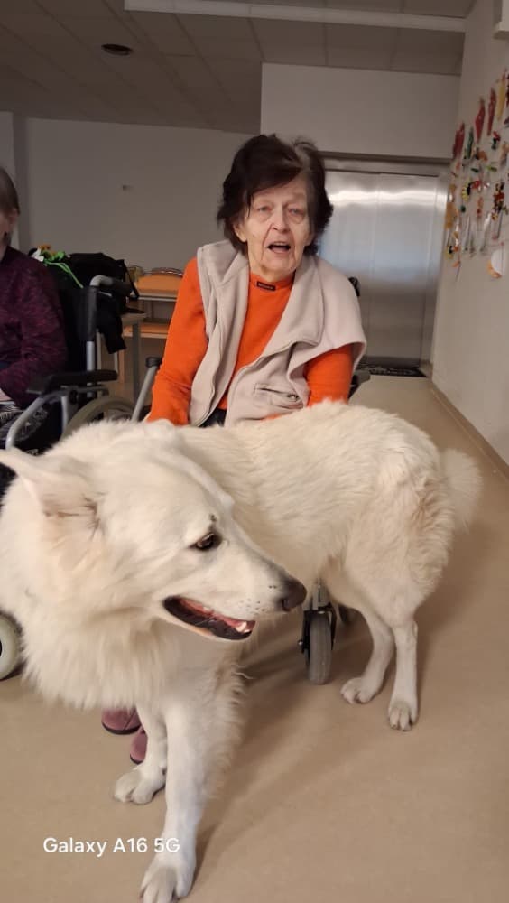 🐾 Psí parťáci Charry a Venda opět rozdávali radost 🐾 3