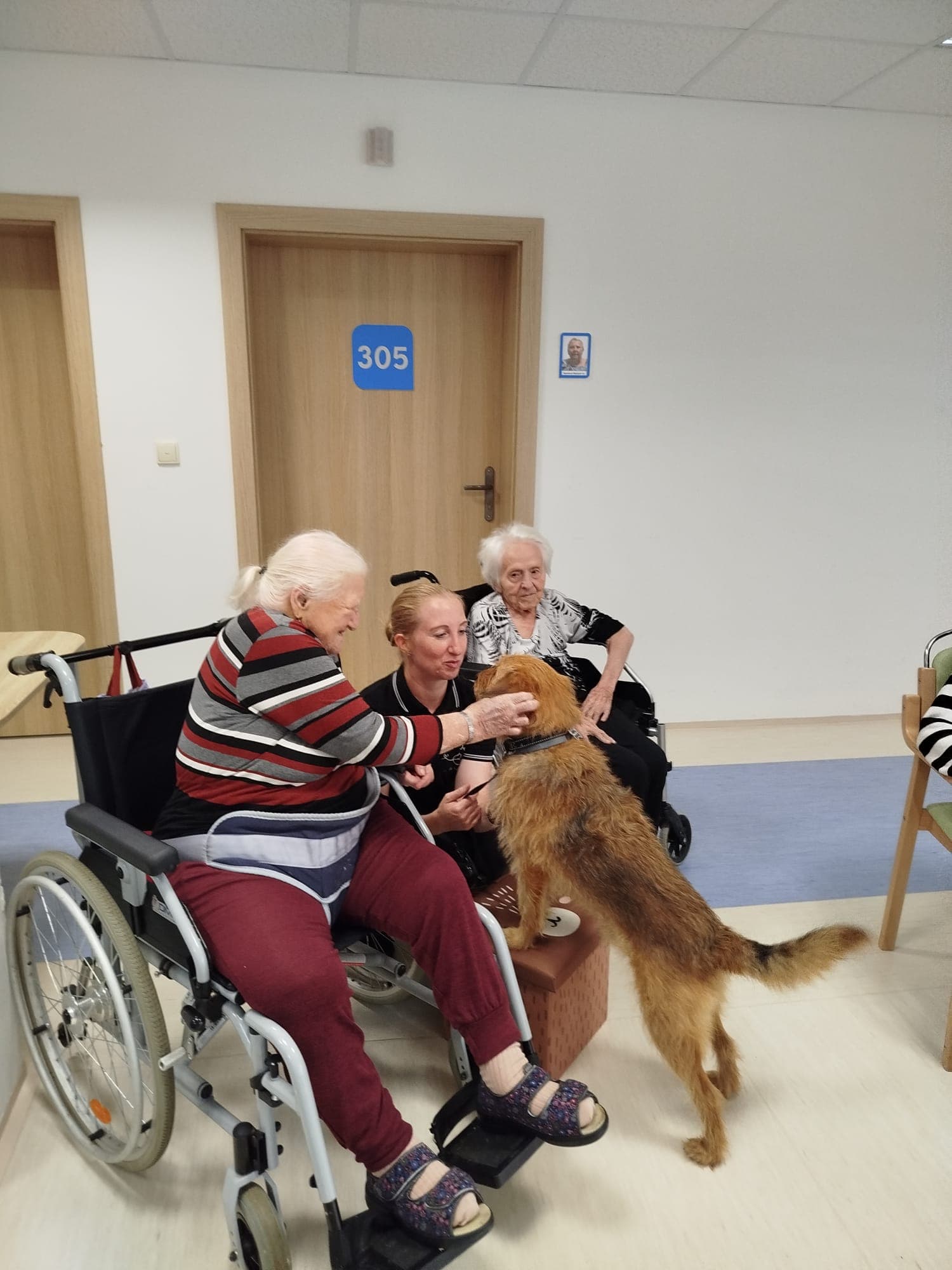 🐾 Psí parťáci Charry a Venda opět rozdávali radost 🐾 7