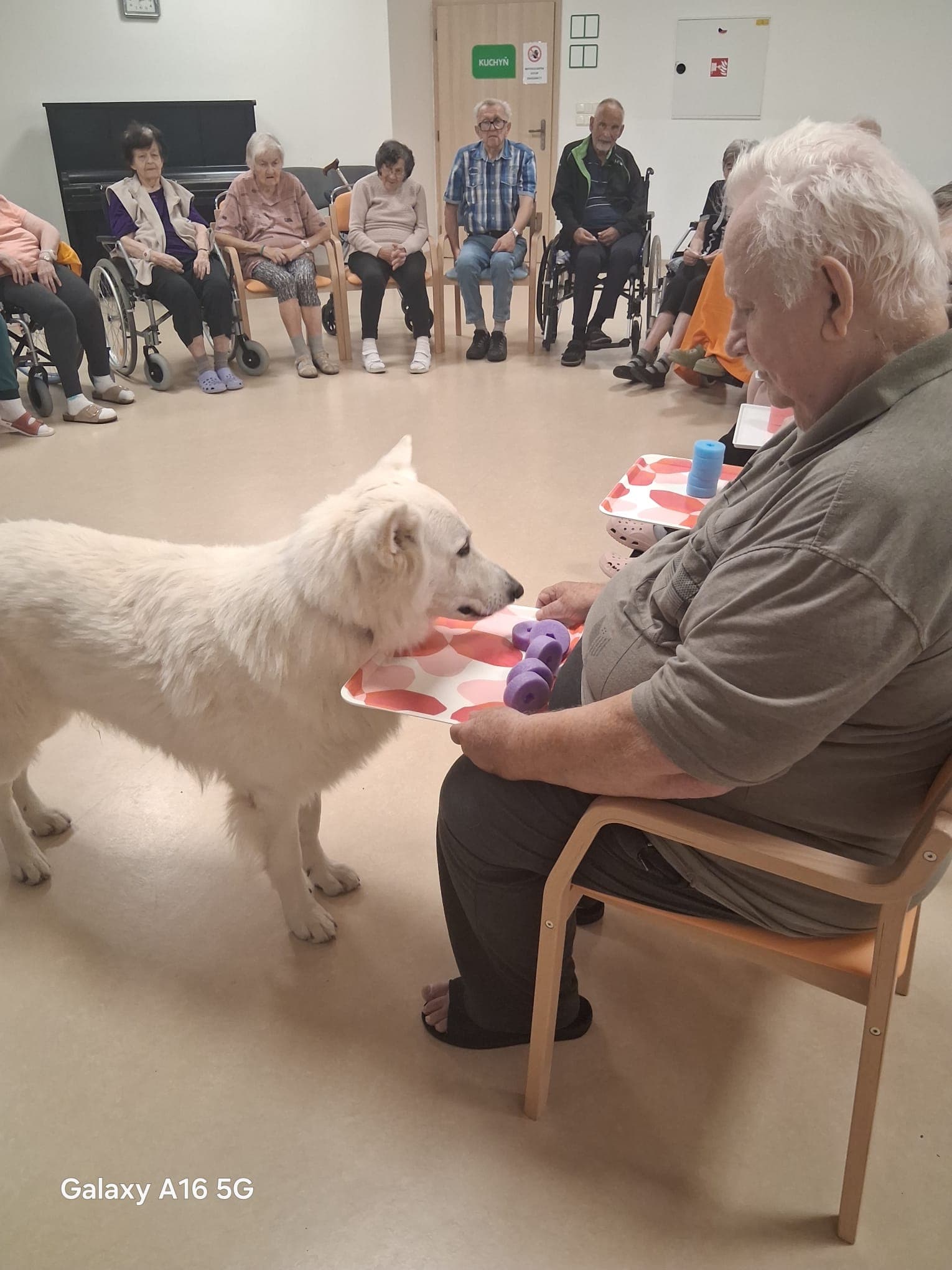 🐾 Psí parťáci Charry a Venda opět rozdávali radost 🐾 11