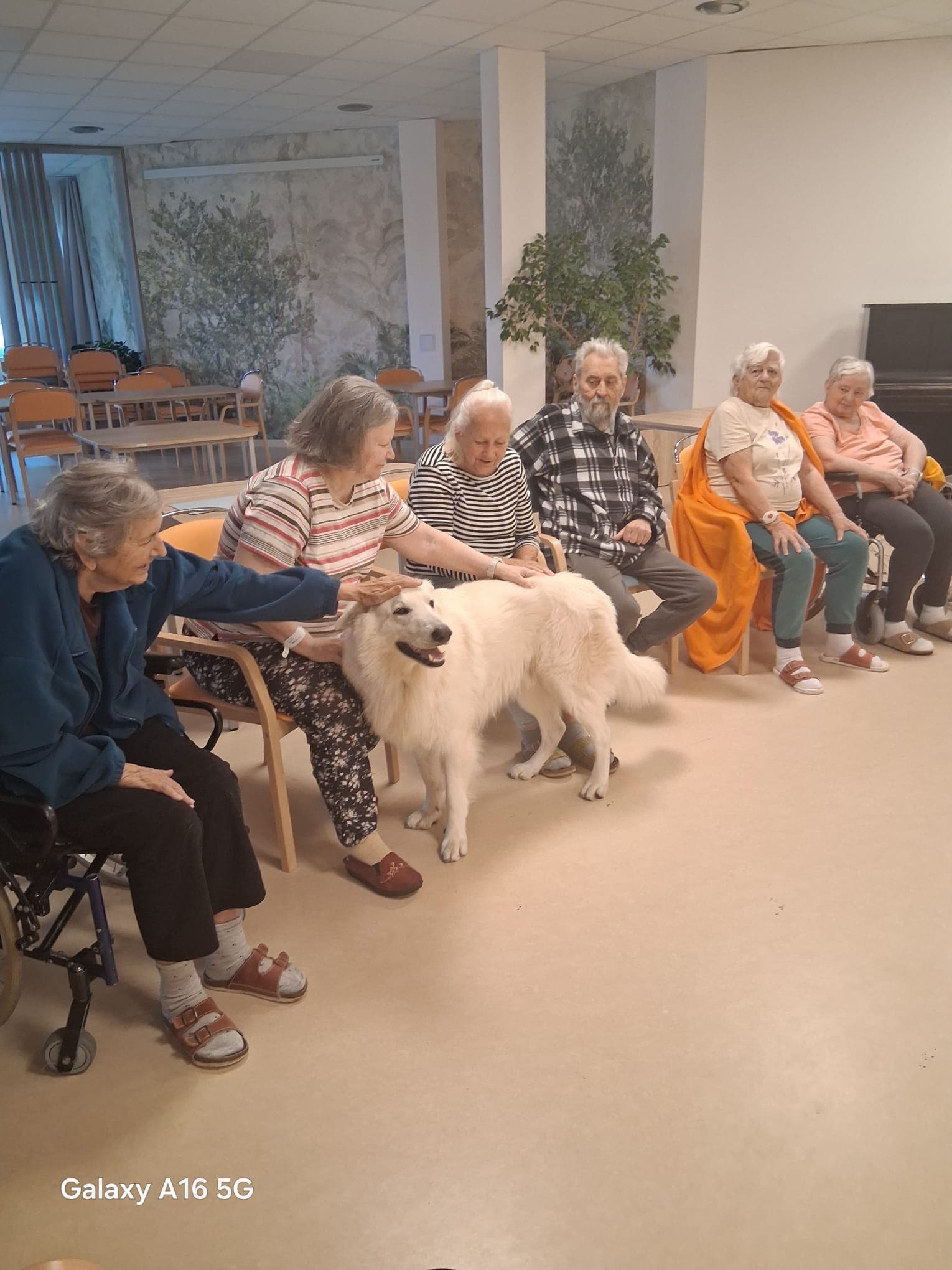 🐾 Psí parťáci Charry a Venda opět rozdávali radost 🐾 12