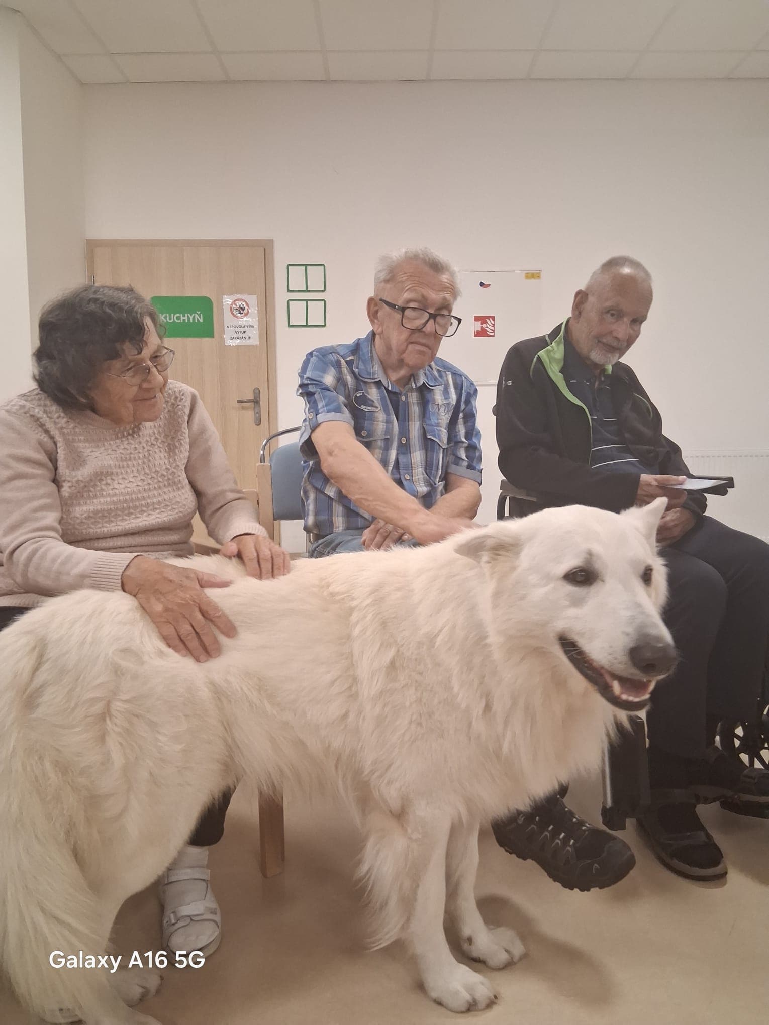 🐾 Psí parťáci Charry a Venda opět rozdávali radost 🐾 13