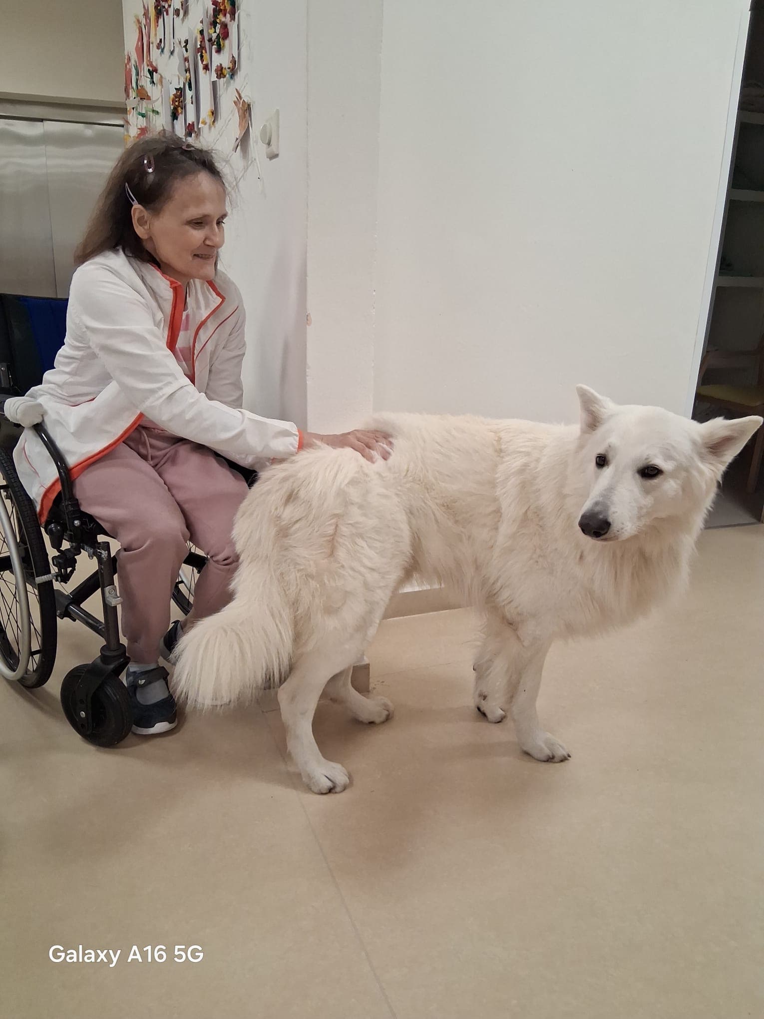 🐾 Psí parťáci Charry a Venda opět rozdávali radost 🐾 14