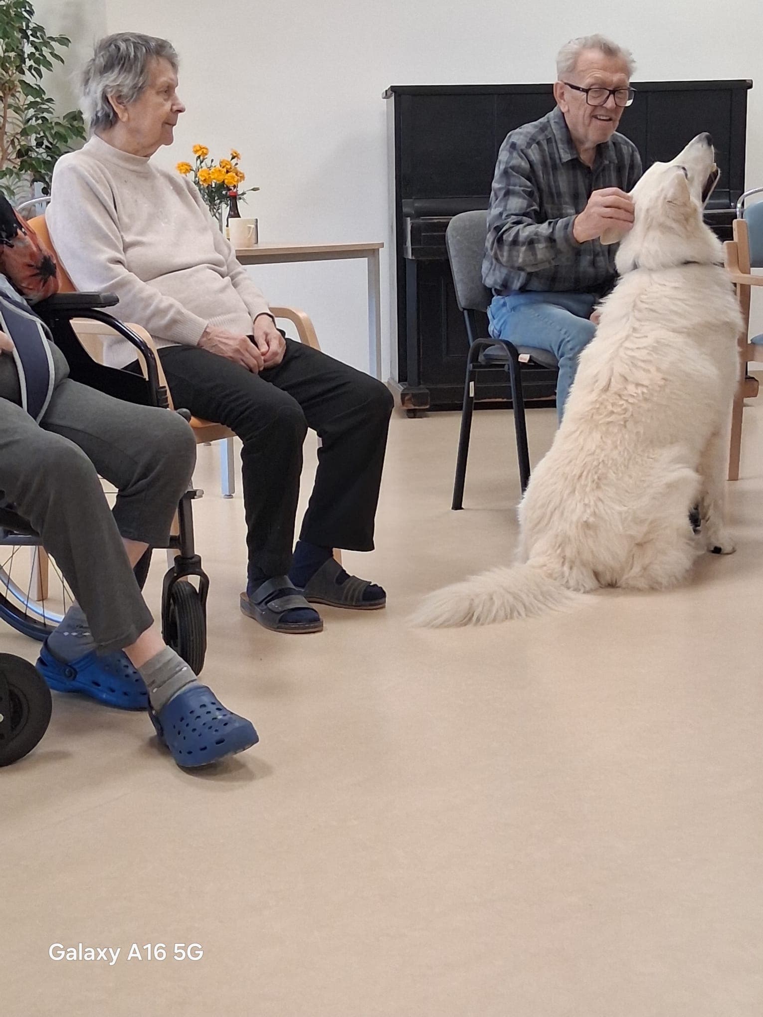 🐾 Psí parťáci Charry a Venda opět rozdávali radost 🐾 15