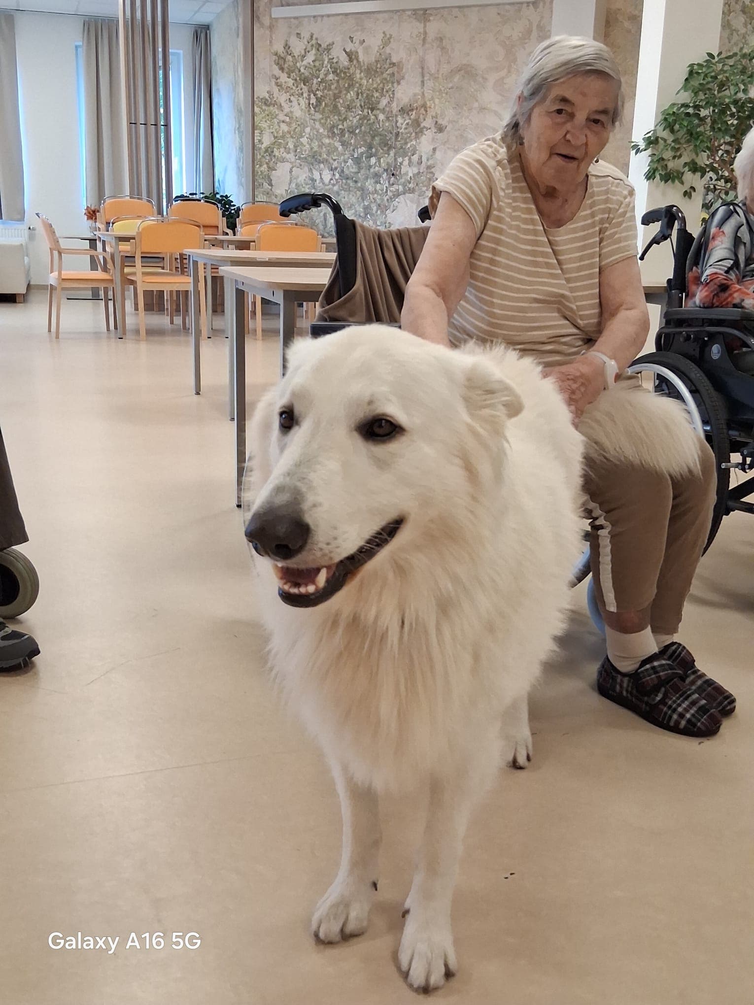 🐾 Psí parťáci Charry a Venda opět rozdávali radost 🐾 16