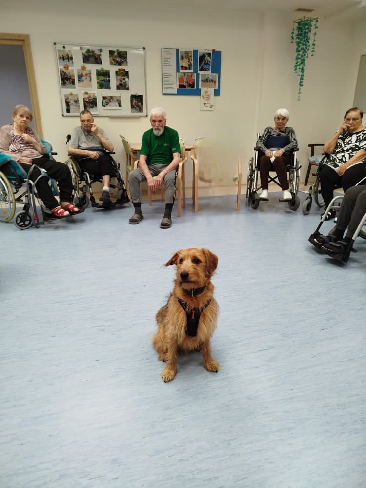 Canisterapie s Vendou🐾 5