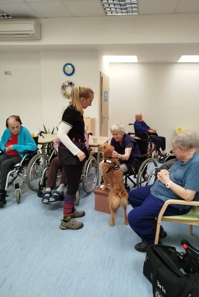 Canisterapie s Vendou🐾 6