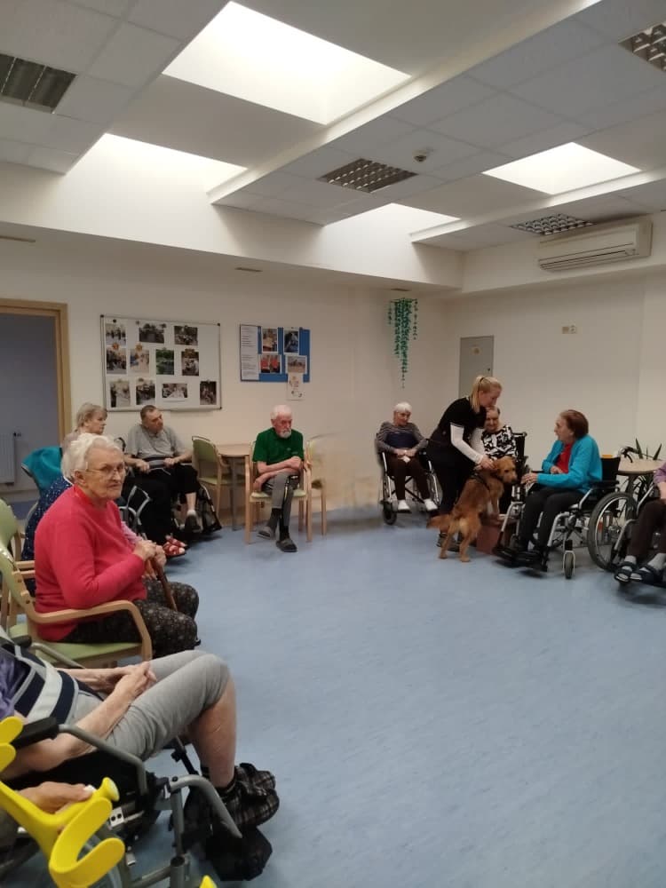 Canisterapie s Vendou🐾 7