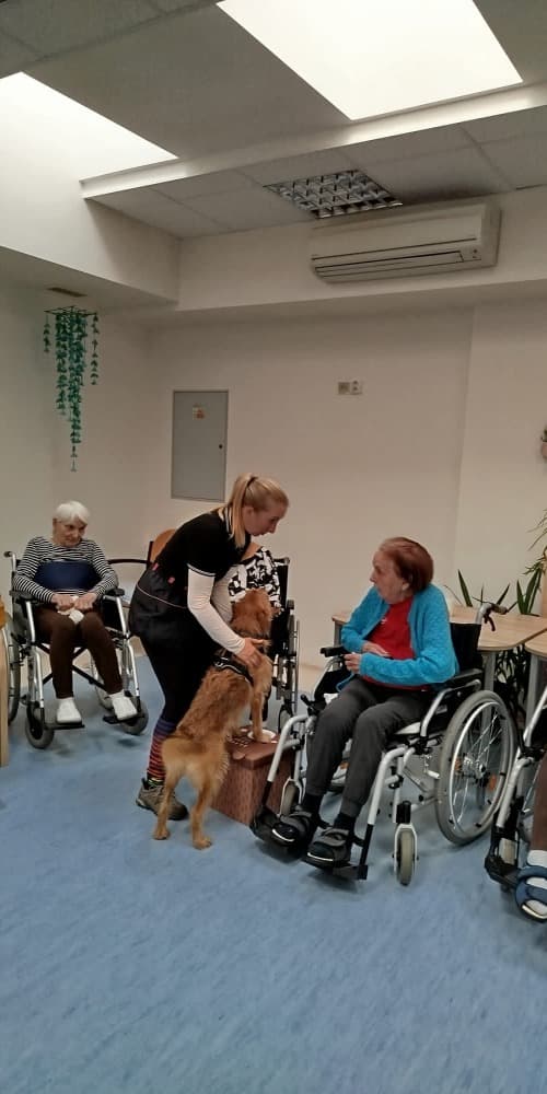 Canisterapie s Vendou🐾 8