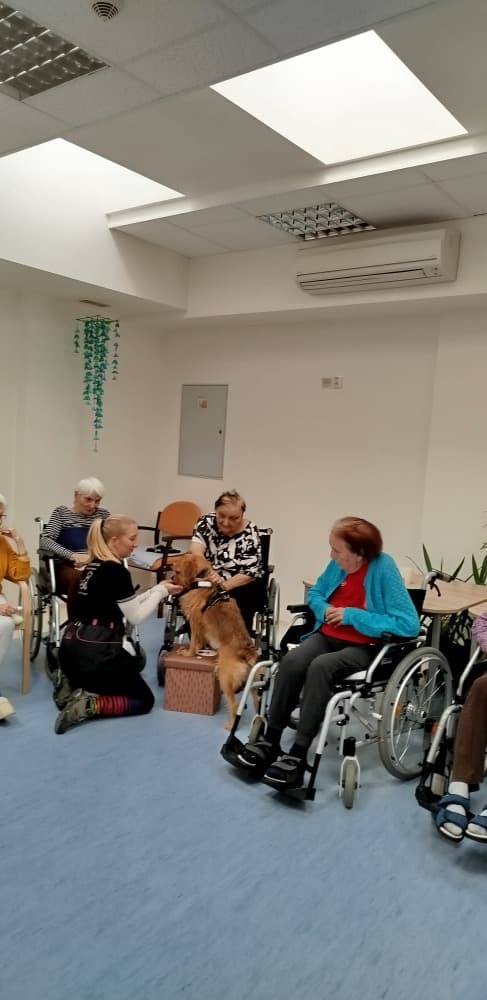 Canisterapie s Vendou🐾 9