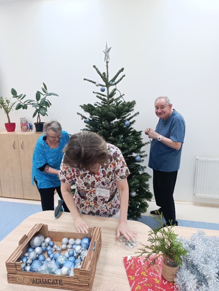 Zdobení vánočních stromků 🎄 1