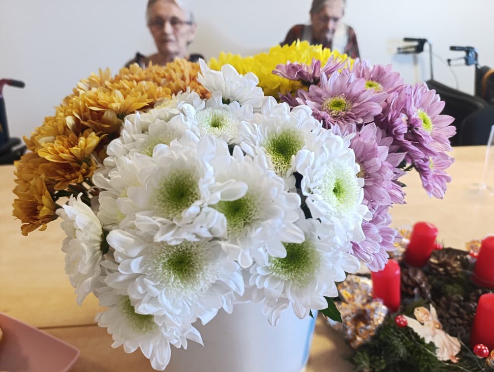 NAROZENINY - prosinec