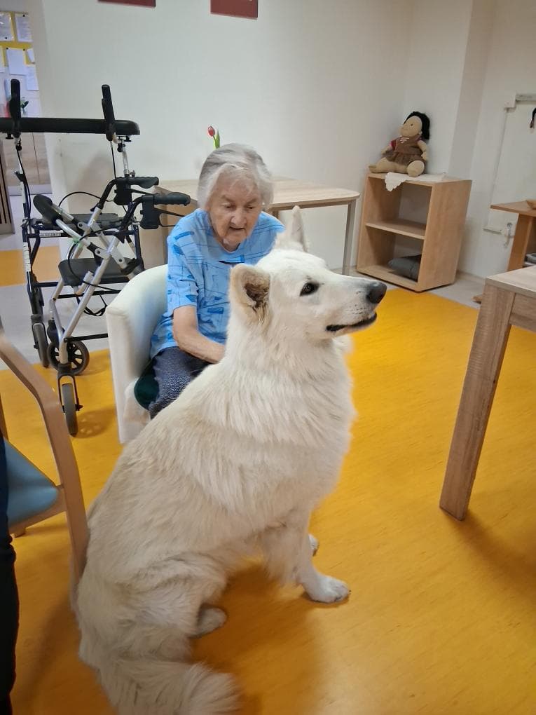 🐾Parťák Charry🐾 0