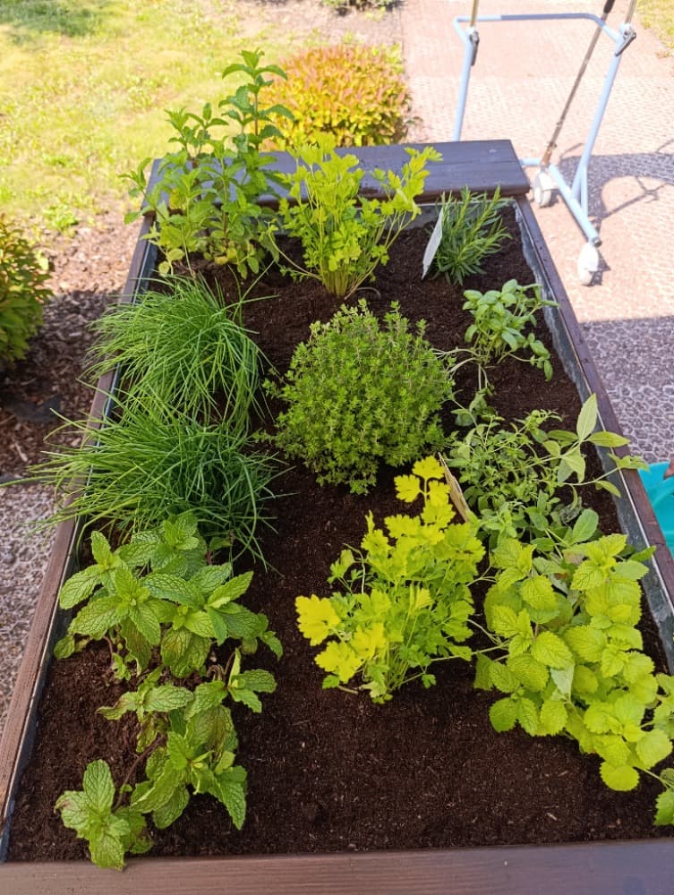 Společné sázení 🌸🍓🌿 19